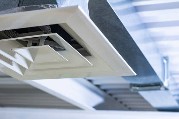 Best Affordable Duct Cleaning Services  in Agler Estates, FL
