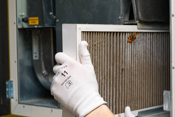 Best Affordable Duct Cleaning Services  in Agler Estates, FL