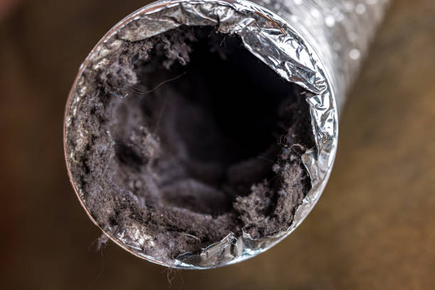 Best Ventilation Cleaning Services  in Agler Estates, FL