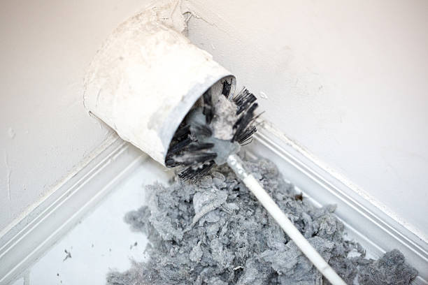 Best General Air Duct Cleaning  in Agler Estates, FL